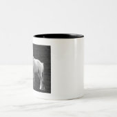 Tasse 2 Couleurs LIN10BW le Stance.tif (Centre)