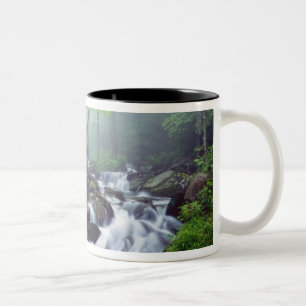 Tasse 2 Couleurs Linn Cove Creek en cascade à travers la brume