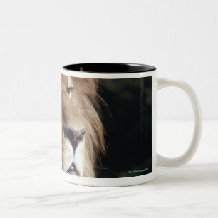 Tasse 2 Couleurs lion