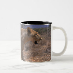 Tasse 2 Couleurs Lion 3