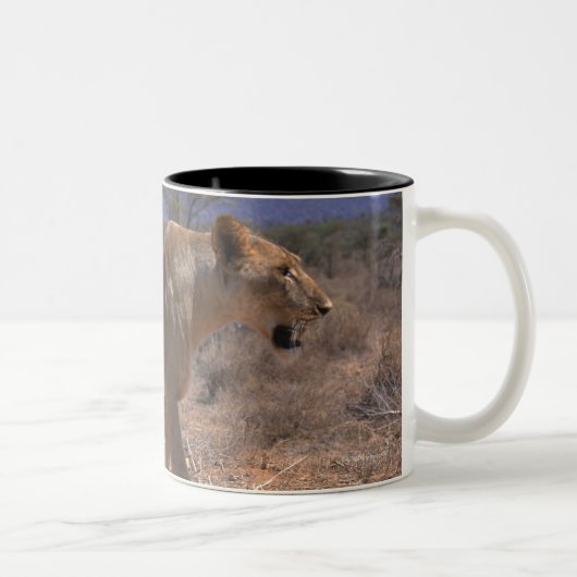 Tasse 2 Couleurs Lion 3 (Droit)