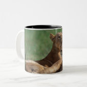 Tasse 2 Couleurs Lion 5 (Devant gauche)