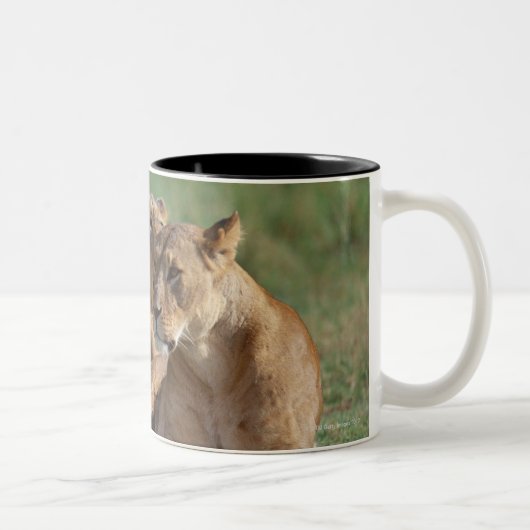 Tasse 2 Couleurs Lion 5 (Droit)