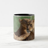Tasse 2 Couleurs Lion 5 (Centre)