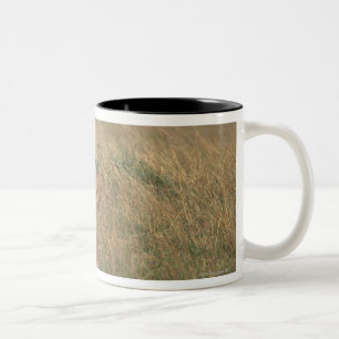 Tasse 2 Couleurs Lion 9