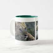 Tasse 2 Couleurs Lion bébés (Devant gauche)