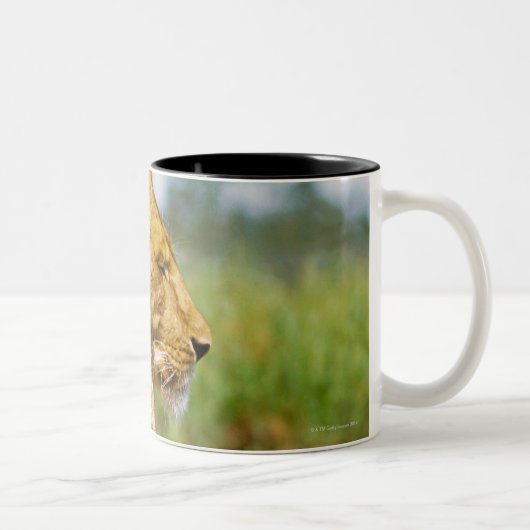 Tasse 2 Couleurs Lion se trouvant sur une roche (Droit)