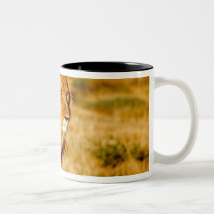 Tasse 2 Couleurs Lion solitaire