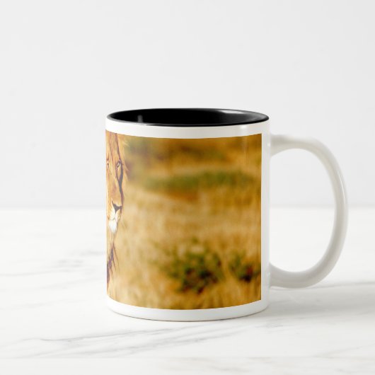 Tasse 2 Couleurs Lion solitaire (Droit)