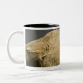 Tasse 2 Couleurs Lionne hurlant 2 (Gauche)
