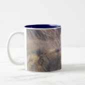 Tasse 2 Couleurs Lions de Kalahari (Gauche)