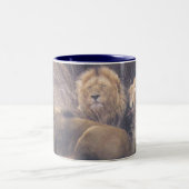 Tasse 2 Couleurs Lions de Kalahari (Centre)