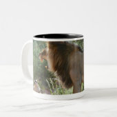 Tasse 2 Couleurs lions joignant, Panthera Lion, Kgalagadi (Devant gauche)