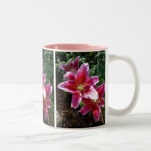 Tasse 2 Couleurs Lis d'astronome