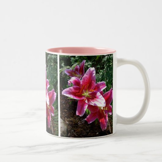 Tasse 2 Couleurs Lis d'astronome (Droit)
