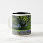 Tasse 2 Couleurs Live Oak & Texas Paintbrush et Texas (Devant gauche)