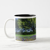 Tasse 2 Couleurs Live Oak & Texas Paintbrush et Texas (Gauche)