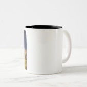 Tasse 2 Couleurs Llamas de bébé dans un champ (Devant droit)