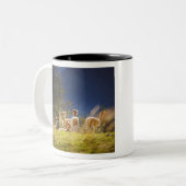 Tasse 2 Couleurs Llamas de bébé dans un champ (Devant gauche)