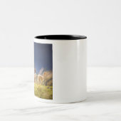 Tasse 2 Couleurs Llamas de bébé dans un champ (Centre)