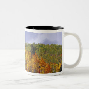 Tasse 2 Couleurs Logan Canyon dans l'Utah en automne avec passage