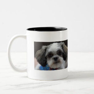 Tasse 2 Couleurs L'OH SHIH TZU il est temps de café