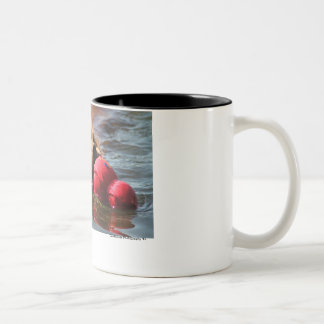 Tasse 2 Couleurs Loki "J'AI OBTENU CECI "