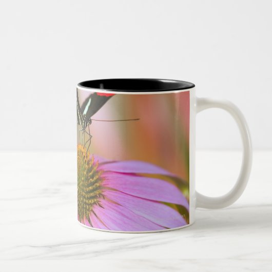 Tasse 2 Couleurs l'Orégon, Etats-Unis 3 (Droit)