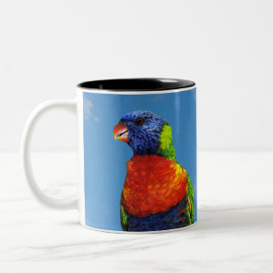 Tasse 2 Couleurs Lorikees arc-en-ciel deux perchés sur une branche