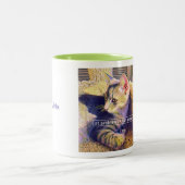 Tasse 2 Couleurs Lou Costello, mignonne muqueuse chatte (Centre)