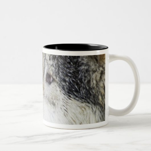 Tasse 2 Couleurs Loup (Droit)