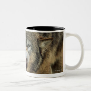 Tasse 2 Couleurs Loup gris de grondement