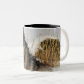 Tasse 2 Couleurs Loup gris ou loup de bois de construction (Devant droit)