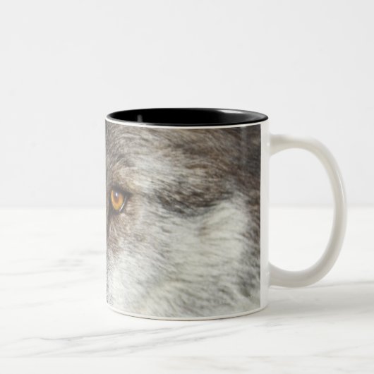 Tasse 2 Couleurs Loup (lupus de Canis) (Droit)