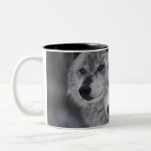 Tasse 2 Couleurs Loups (lupus de Canus) de Yellowstone occidental. (Gauche)