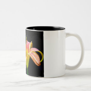 Tasse 2 Couleurs Lovely Tawny Daylily II Vêtements et cadeaux