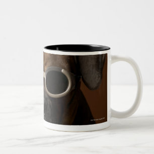 Tasse 2 Couleurs Lunettes de soleil de port de chien