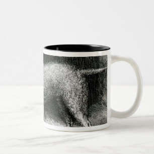 Tasse 2 Couleurs M.F. Armstrong de chiens terriers de Bedlington