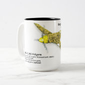 Tasse 2 Couleurs Macchi C.202 Folgore (Devant gauche)