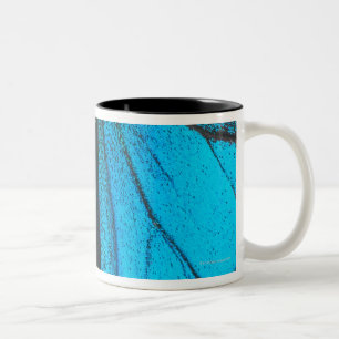 Tasse 2 Couleurs Machaon bleu de montagne (Papilio Ulysse)