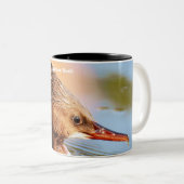 Tasse 2 Couleurs Maganser Duck (Devant droit)