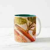 Tasse 2 Couleurs Magie de cigale (Devant droit)