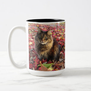 Tasse 2 Couleurs Maine Coon Kitty Cat