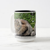 Tasse 2 Couleurs Maine Coon Kitty Cat (Devant gauche)