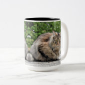 Tasse 2 Couleurs Maine Coon Kitty Cat (Devant droit)