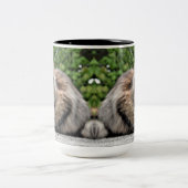 Tasse 2 Couleurs Maine Coon Kitty Cat (Centre)