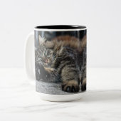 Tasse 2 Couleurs Maine Coon Kitty Cat (Devant gauche)