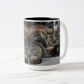 Tasse 2 Couleurs Maine Coon Kitty Cat (Devant droit)