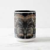 Tasse 2 Couleurs Maine Coon Kitty Cat (Centre)
