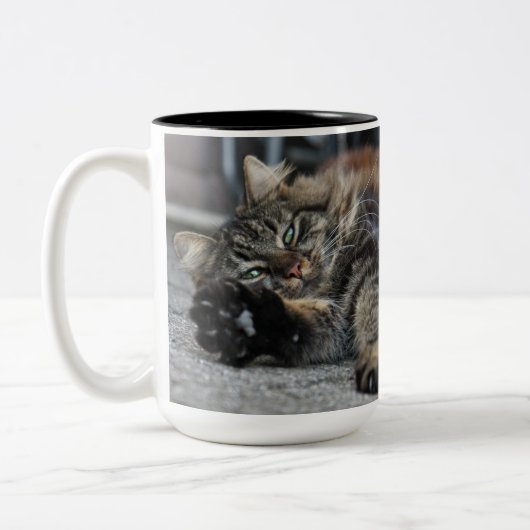 Tasse 2 Couleurs Maine Coon Kitty Cat (Gauche)